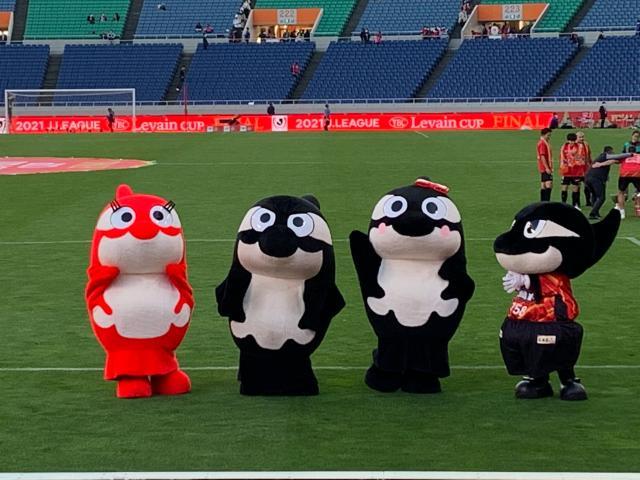 星空体育官网-足球从娃娃抓起!围观隔壁国家小朋友们的足球周末