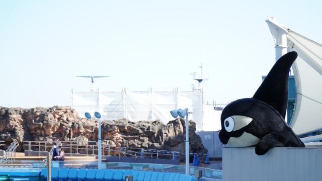 星空体育官网-足球从娃娃抓起!围观隔壁国家小朋友们的足球周末