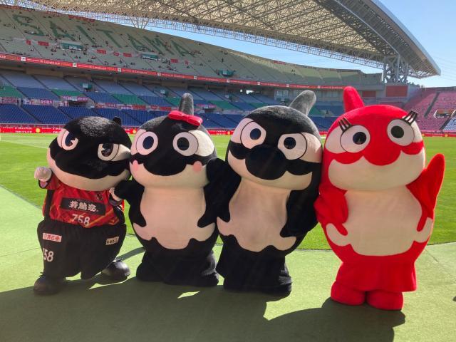 星空体育官网-足球从娃娃抓起!围观隔壁国家小朋友们的足球周末